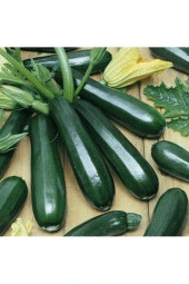 10 Adet Tohum Organik Yayla Kara Dolmalık Yemeklik Kabak Tohumu Hediye Tohumla Gönderilir - 1