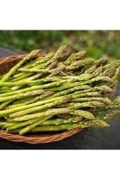 100 Adet Tohum Organik Ithal Kuşkonmaz Tohumu Balkon Saksılık Bahçeli Taze Yeni Hasat Kuşkonmaz Tohu - 1