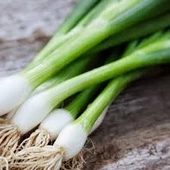 200 Adet Tohum Organik Orjinal Yeşil Roka Tohumu Yeni Mahsul Tohum Saksılık Bahçelik Saksı Toprak - 1