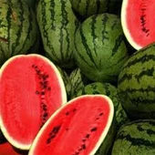 75 Adet Tohum Nadir Organik Hobi Bahçesi Crimson Sweet Karpuz Tohumu Yetiştirme Saksı Toprak Hediye - 2