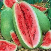 50 Adet Tohum Dev Ithal Çarliston Gray Karpuz Organik Ithal Karpuz Tohumu Sürpriz Hediyeli - 1