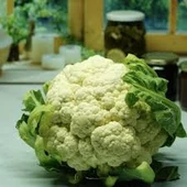 50 Adet Tohum Ata Tohumu Organik Taze Hobi Bahçe Organik Beyaz Karnıbahar Tohumu thumbnail 1