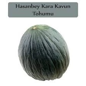 30 Adet Tohum Nadir Siyah Kavun Tohumu Organik Bahçe Siyah Kavun Tohumu Kara Bal Kavun - 1