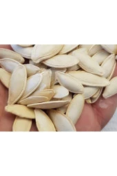 50 Adet Tohum Organik Tohum Taze Çekirdeklik Nevşehir Kabak Tohumu Kabak Çekirdeği Toh - 1