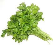 500 Adet Tohum Maydanoz Tohumu Geniş Yapraklı Maydonoz Organik Köy Tohumu Saksı Toprak - 1