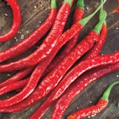 50 Adet Tohum Eko Paket Şili Biberi Tohumu Çok Acı Chili Biberi Tohumu Sürpriz Hediye Sebze Tohumu thumbnail 1