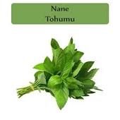 100 Adet Tohum Köy Tohumu Geleneksel Yediveren Nane Tohumu Sürpriz Hediye Sebze Tohumludur - 1