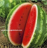 200 Adet Tohum Nadir Organik Ata Tohum İthal Crimson Sweet Karpuz Tohumu - 1