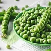 100 Adet Tohum Organik Orjinal Geleneksel Bezelye Tohumu Saksı Toprak Hediyemizdir - 1