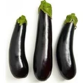 100 Adet Tohum Siyah Kemer Patlıcanı Tohum Patlıcan Tohum Sürpriz Hediye Sebze Tohum Uzun Patlıcan - 1