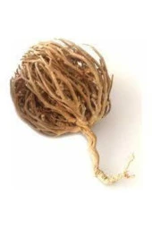 2 Adet Meryem Ana Eli Otu Fatma Ana Eli Otu Hamile Kalmaya Yardımcı Çay Olarak Içilen Şifalı Bitkidi - 1