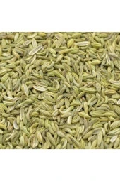 100 Adet Tohum Rezene Çiçeği Tohumu Sarı Rezene Saksı Toprak Hediyemiz - 1