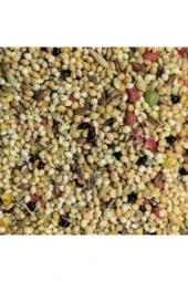 500gr Üçlü Karışım Kuş Yemi Her Kuş Için Özel Üretilmiştir Kuş Yemi Kanarya Hint Bülbülü Ödüllü Kuş thumbnail 3