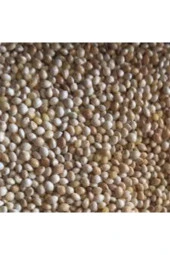 1kğ Saf Kuş Yemi Her Türlü Kuş Için Uygun Besleyici Mineralli Kuş Yemi Muhabbet Kanarya Hint Bülbülü thumbnail 2