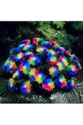 15 Adet Tohum Nadir Bulunan Krizantem Crizantem Çiçeği Gökkuşağı Çiçeği Sürpriz Hediye Tohumludur thumbnail 1