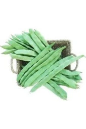 250 Adet Tohum Istanbul Boncuk Ayşe Kadın Kılçıksız Fasulye Tohum Sürpriz Hediye Tohum Sebze Tohumlu thumbnail 2