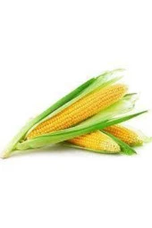 200 Adet Tohumkaliyeli Organik Haşlamalık Süt Mısır Tohumu Darı Tohumu Sürpriz Hediye Tohum - 1