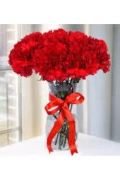 100 Adet Tohum Kırmızı Bodur Karanfil Çiçeği Tohumu Karanfil Tohumu thumbnail 2