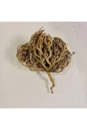 3 Adet Meryem Ana Eli Otu Fatma Ana Eli Otu Hamile Kalmaya Yardımcı Çay Olarak Içilen Şifalı Bitki - 1