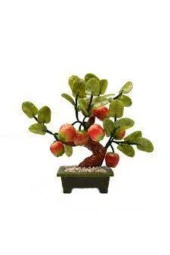 10 Adet Tohum Bodur Bonsai Elma Ağacı Bonzai Tohumu Sürpriz Bonsai Ağaç Tohum - 2