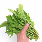 200 Adet Tohum Geleneksel İzmir Yaprak Roka Tohumu Sürpriz Hediye Tohum thumbnail 2