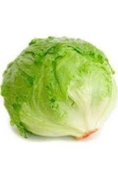 100 Adet Tohum Yerli Göbekli Iceberk Tohumu Sürpriz Hediye Tohum thumbnail 1