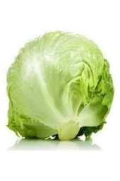 100 Adet Tohum Yerli Göbekli Iceberk Tohumu Sürpriz Hediye Tohum thumbnail 2