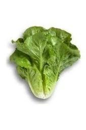 100 Adet Tohum Göbekli Yedikule Marul Tohumu Saksı Toprak Sürpriz Hediye Tohum thumbnail 2