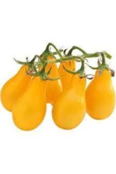 5 Adet Tohum Nadir Sarı Ampul Domates Tohumu Ampül Domates Tohumu Sürpriz Hediye Tohumla Gönderilir - 1