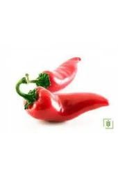 50 Adet Tohum Süper Paket Adana Karaisalı Hafif Acı Salçalık Biber Tohumu Sürpriz Hediye Tohumludur thumbnail 2