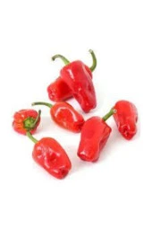 35 Adet Tohum Çok Acı Urfa Isot Biberi Tohumu Biber Tohumu Saksı Toprak Süpriz Hediye Tohum - 1