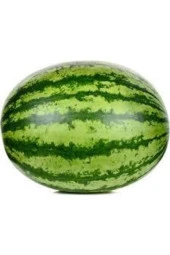 15 Adet Tohum Meşhur Diyarbakır Karpuzu Tohumu Karpuz Tohumu Sürpriz Hediye Tohum thumbnail 1