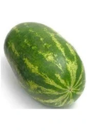 15 Adet Tohum Meşhur Diyarbakır Karpuzu Tohumu Karpuz Tohumu Sürpriz Hediye Tohum thumbnail 2