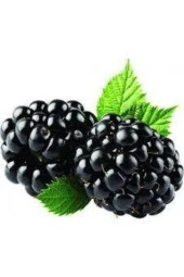 10 Adet Böğürtlen Tohumu Ahududu Tohumu Ithal Böğürtlen Tohumu Sürpriz Hediye Bonsai Ağacı Tohumu thumbnail 1