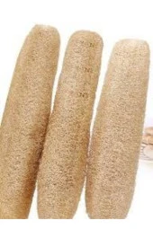 30 Adet Tohum Eko Paket Lif Kabak Tohumu Kabak Tohumu Lif Kabağı Tohumu Sürpriz Hediye Tohum thumbnail 2