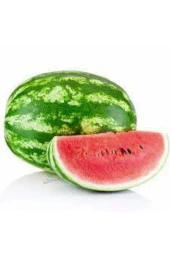 100 Adet Tohum Eko Paket Meşhur Crimson Sweet Karpuzu Tohumu Karpuz Tohumu Spriz Hediye Tohumlu - 2