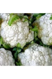 500 Adet Tohum Süper Paket Karnabahar Tohumu Karnıbahar Tohumu Süpriz Hediye Tohumla thumbnail 1