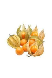 25 Adet Tohum Tropikal Altın Çilek Güney Feneri Tohumu Sürpriz Hediye Tohum - 2