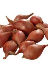 100 Adet Tohum Süper Paket Kıska Soğan Tohumu Soğan Kıskası Tohum Sürpriz Hediye Sebze Tohumla thumbnail 1