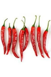 30 Adet Tohum Şili Biberi Tohumu Saksılık Çok Acı Chili Biberi Tohumu Saksı Toprak Sürpriz Hediye thumbnail 3