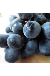 20 Adet Tohum Siyah Üzüm Black Magic Asma Ağacı Tohumu Sürpriz Hediye Bonsai Ağacı Tohumu thumbnail 3