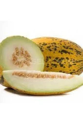 15 Adet Tohum Kırkağaç Ince Kabuk Altınbaş Kavun Tohumu Sürpriz Hediye Tohum - 1