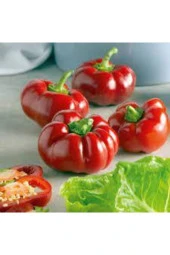 30 Adet Nadir Bulunan Domates Biberi Tohumu Sürpriz Hediye Tohum - 1