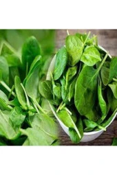 50 Adet Tohum Yerli Ispanak Tohumu Sürpriz Hediye Tohum Yeşil Ispanak Tohumludur thumbnail 1