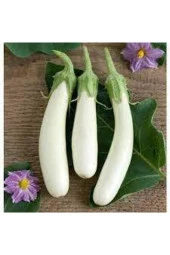 10 Adet Tohuım Nadir Beyaz Kemer Patlıcan Tohumu Kemer Patlıcan Tohumu Sürpriz Hediye Sebze Tahumla thumbnail 1