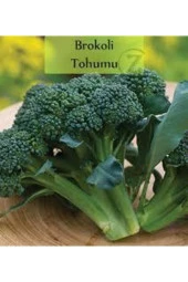 100 Adet Tohum Yeşil Brokoli Tohumu Yeni Sezon Hediye Tohumlu thumbnail 1