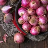 150 Adet Tohum Nadir Ithal Mor Soğan Tohumu Sürpriz Hediye Sebze Tohumu - 2