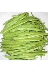 30 Adet Tohum Eko Paket Kılçıksız Simbo Fasulye Tohumu Nadir Fasülye Tohumu Sürpriz Hediye Tohumlu thumbnail 2