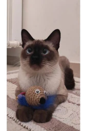 Zilli Tüylü Fare Kedi Oyuncağı - 2