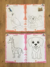 Kuru Boya Hediyeli Eğitici Etkinlikli Boyama Seti 40 Kitap - 4